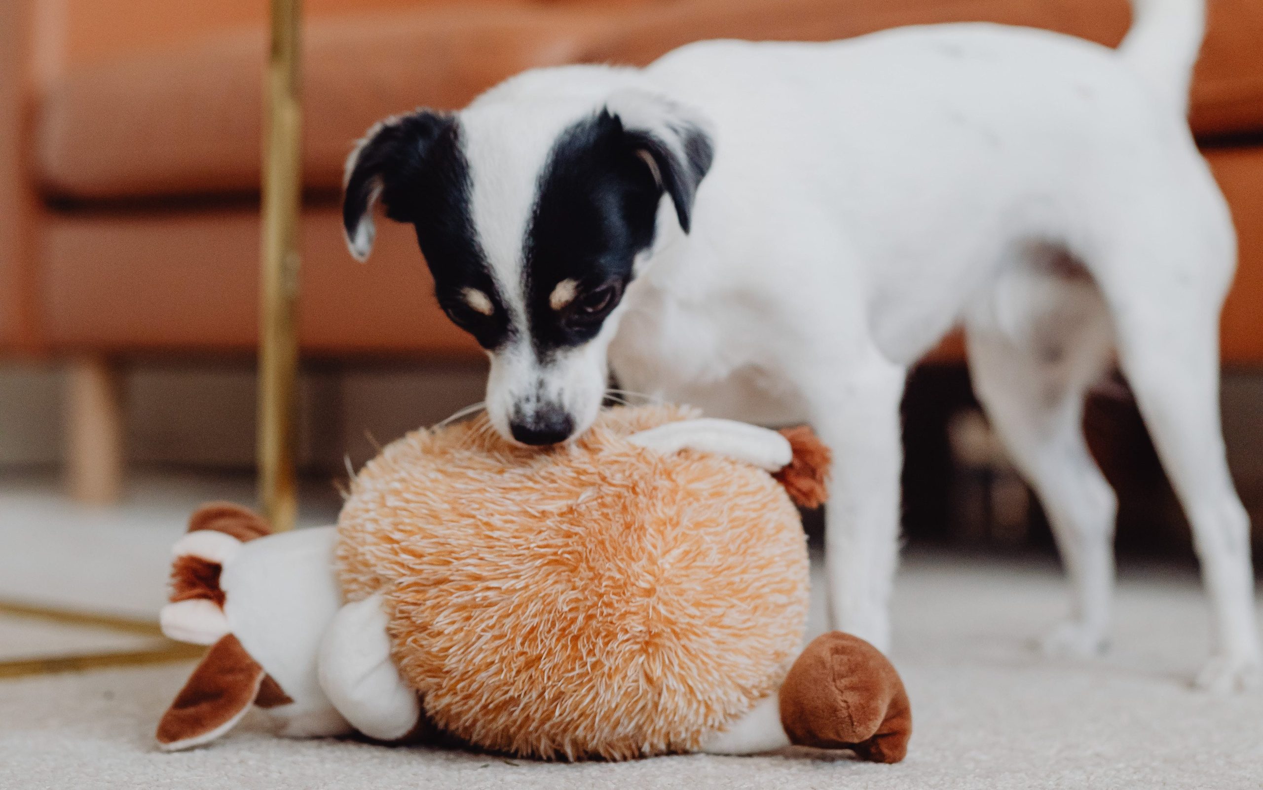 Are there specific plush toys recommended for aggressive chewers