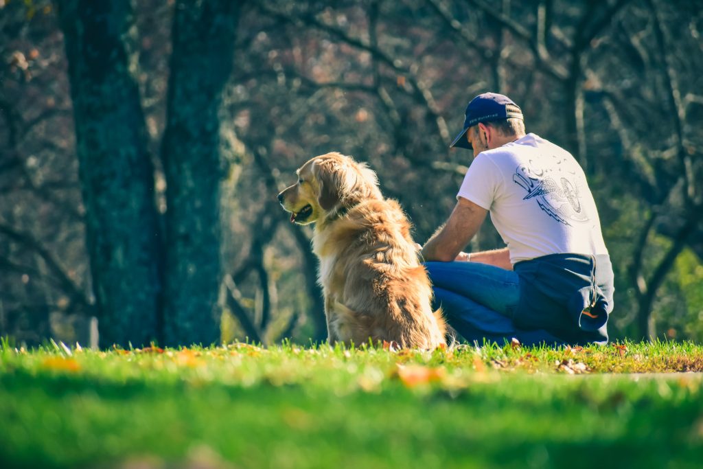 Why Do Female Dogs Cry When Mating