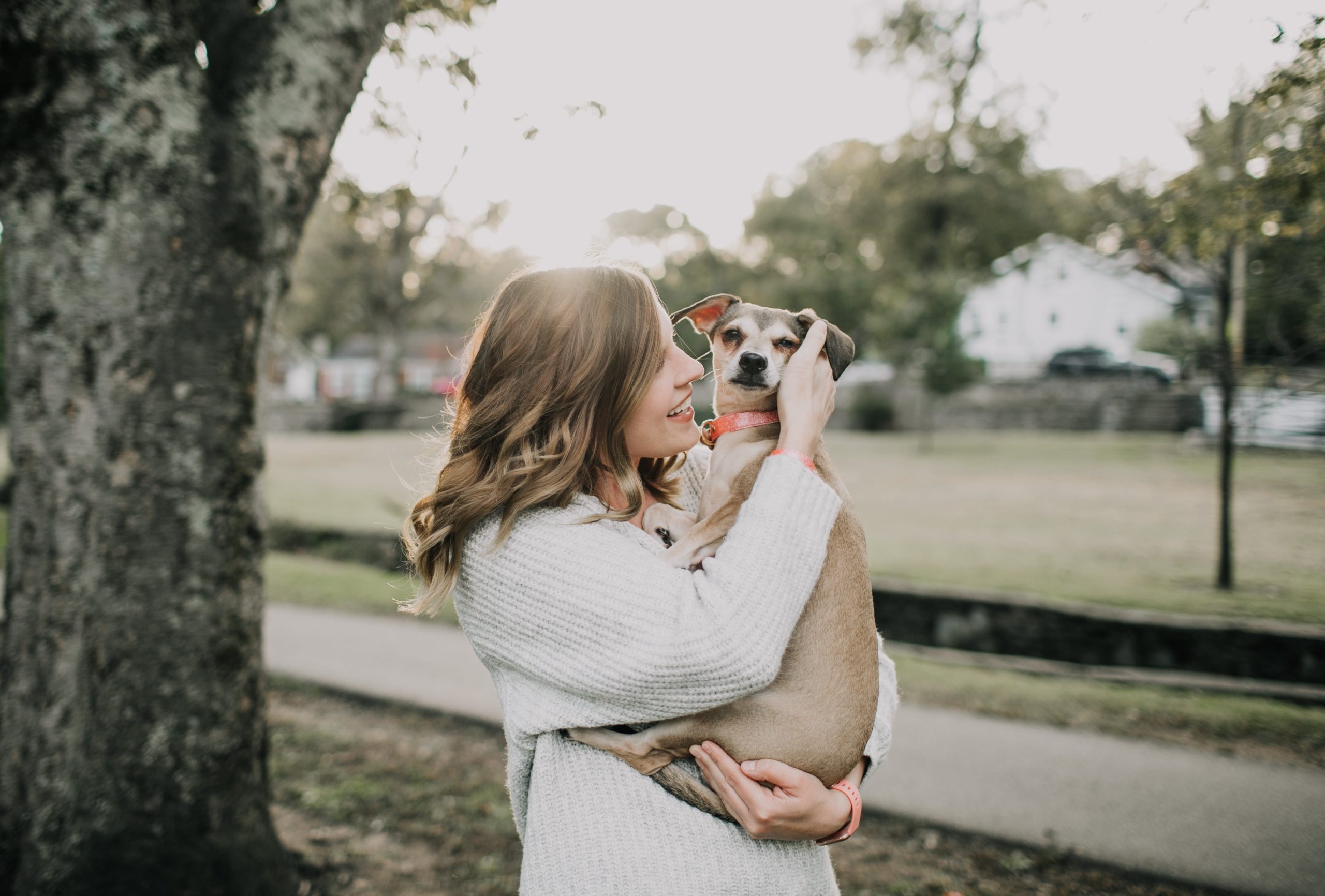 Why Dogs Don't Like to Be Hugged?