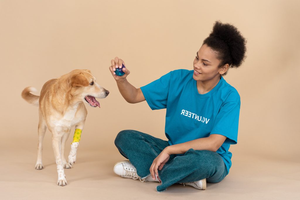 Dog Treating Her Ball