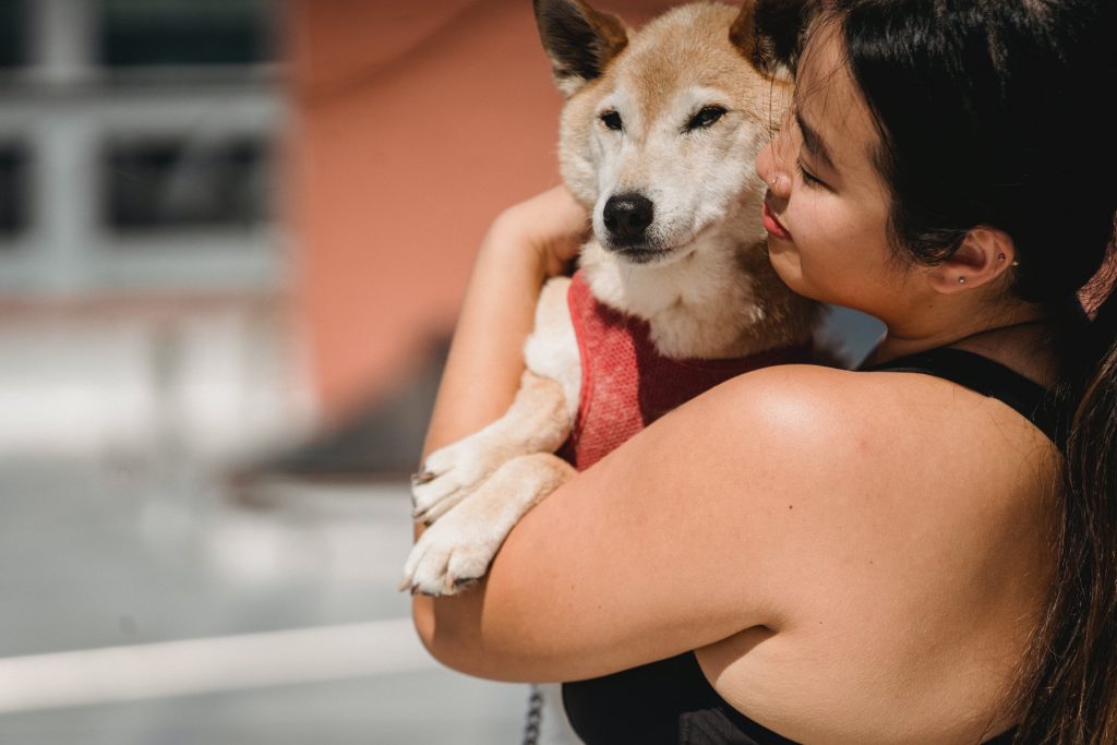 How Do Dogs Have a Favorite Person