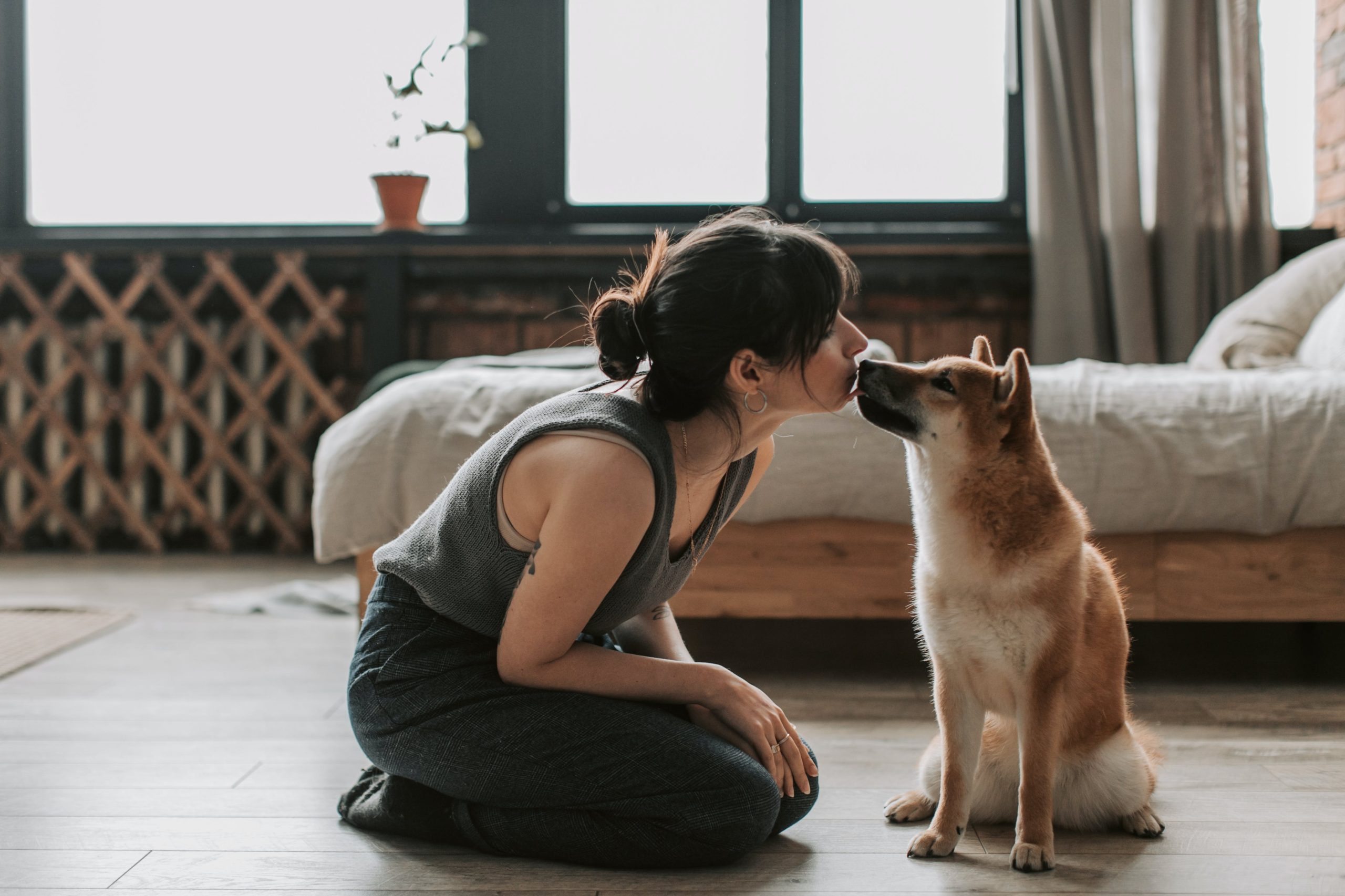 Do Dogs Know What a Kiss Is?