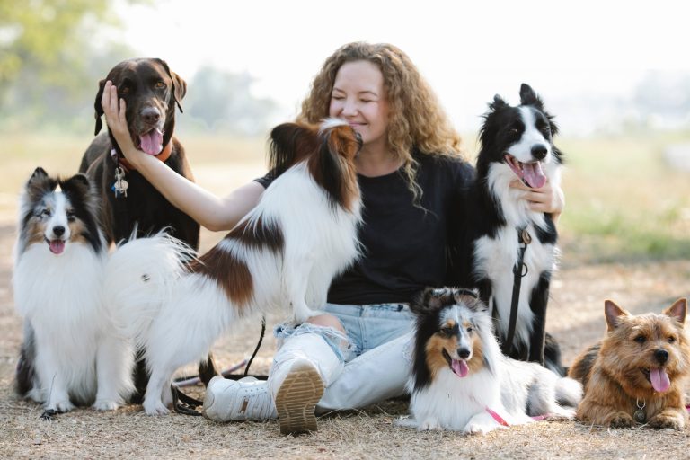 Are Male Dogs Attracted to Female Owners