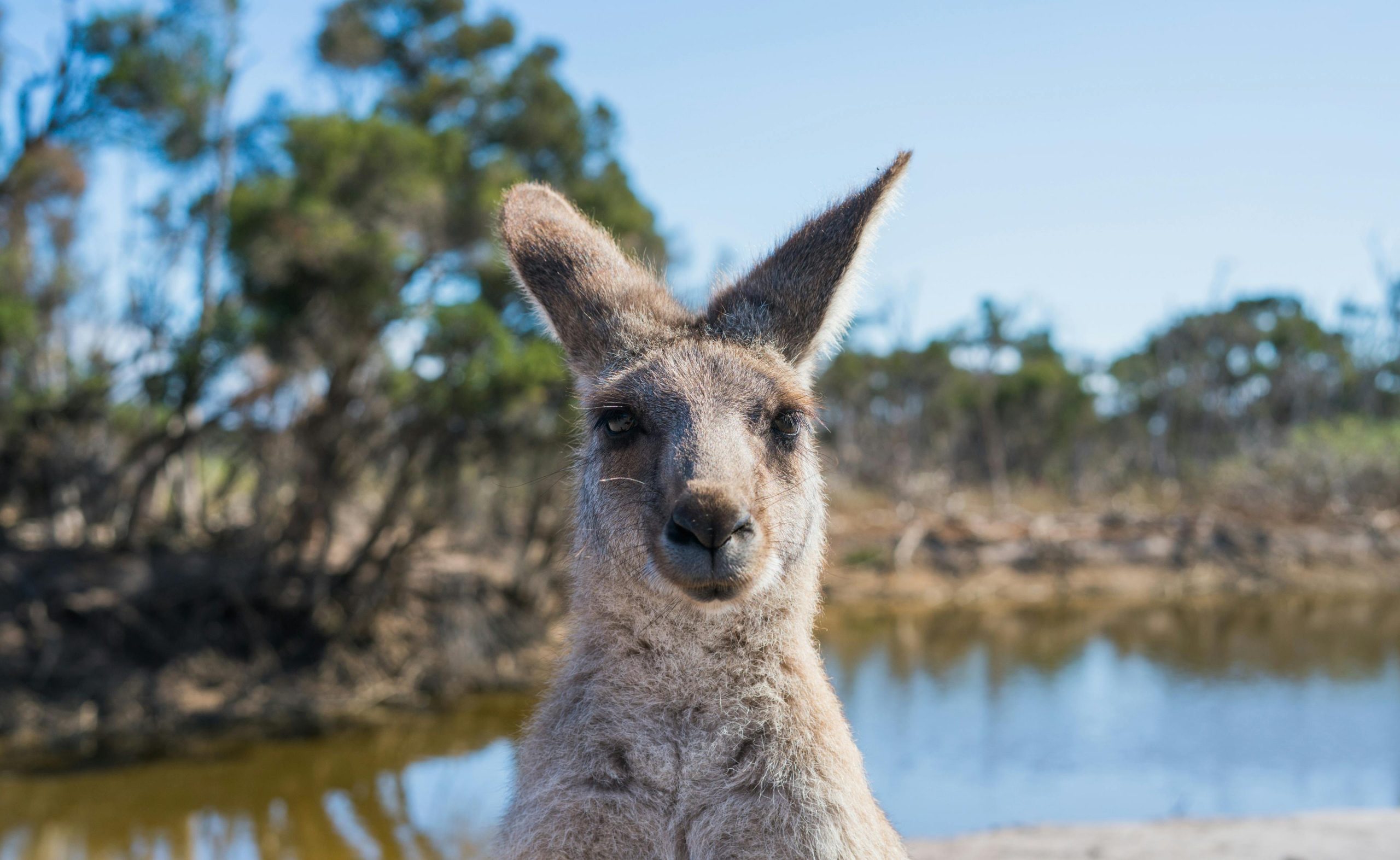 Facts About Australia