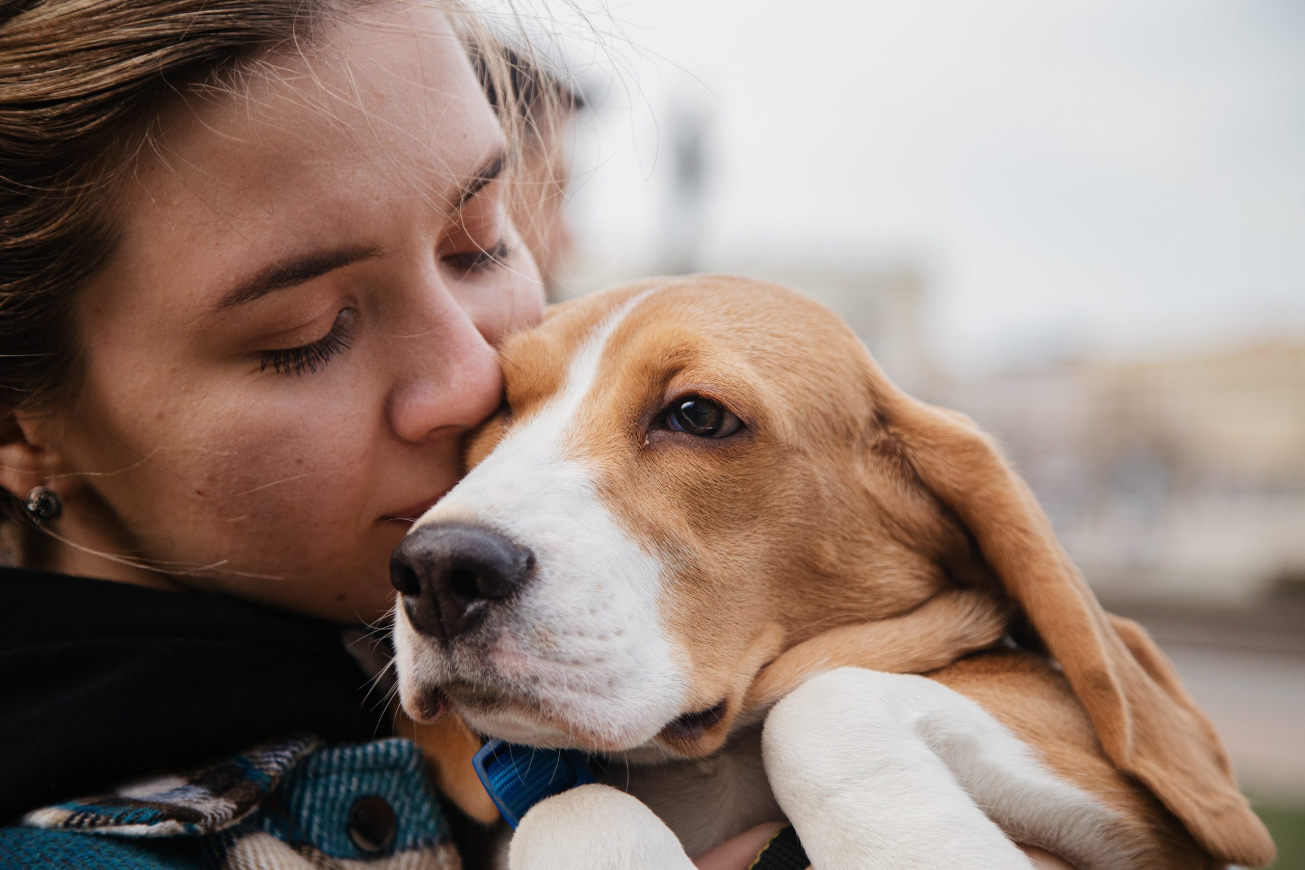 Do Dogs Know When You Are Sad