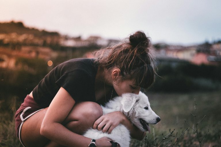 Is it okay to kiss your dog on the head