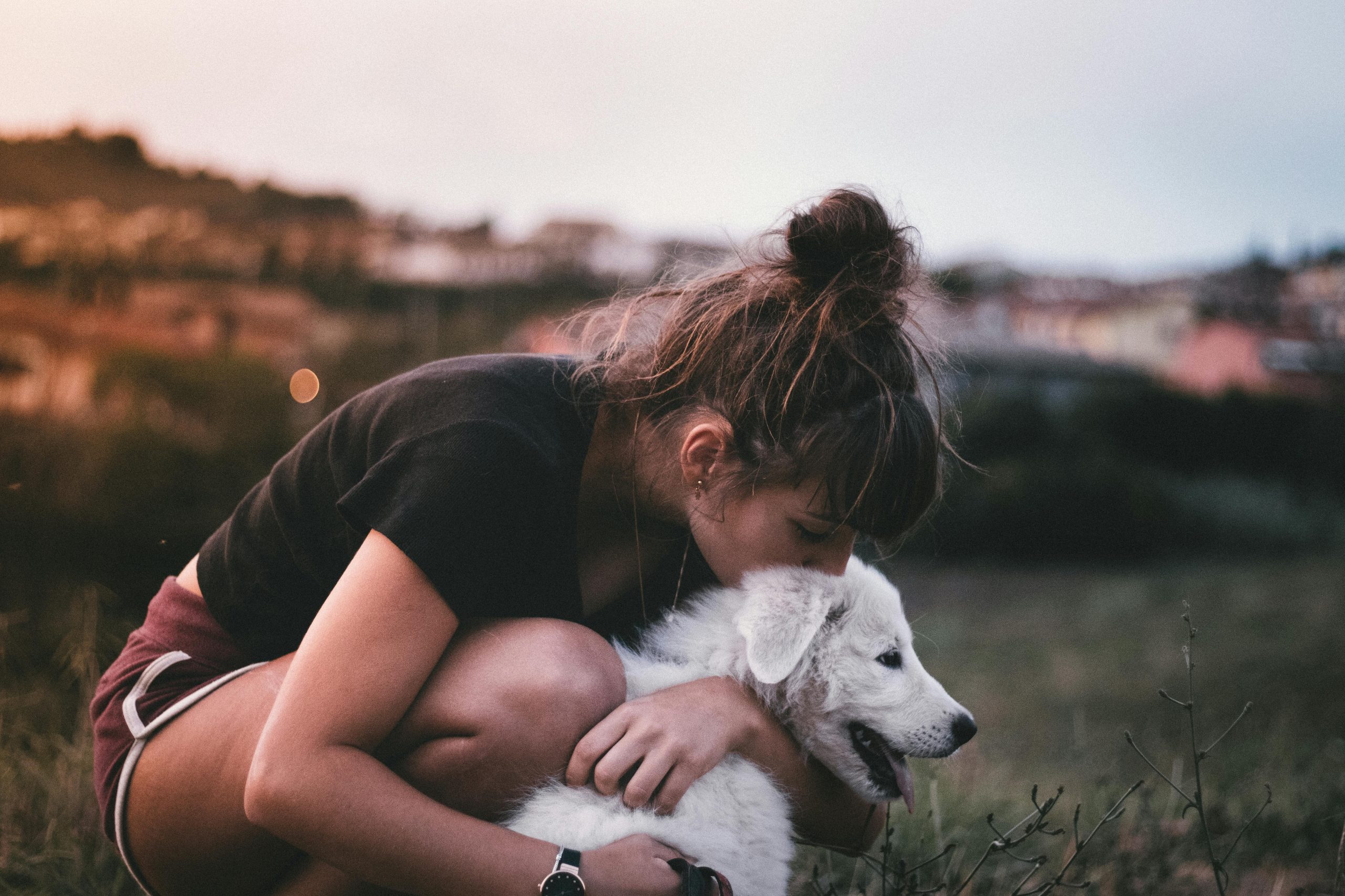 Is it okay to kiss your dog on the head