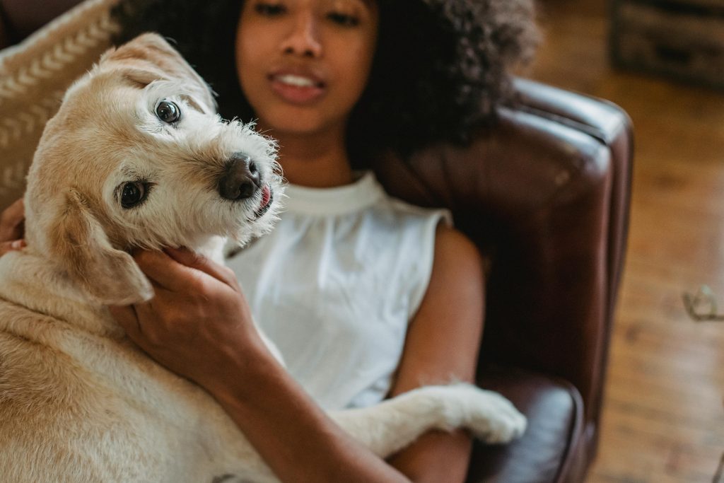 Do Dogs Lick Lips When Happy