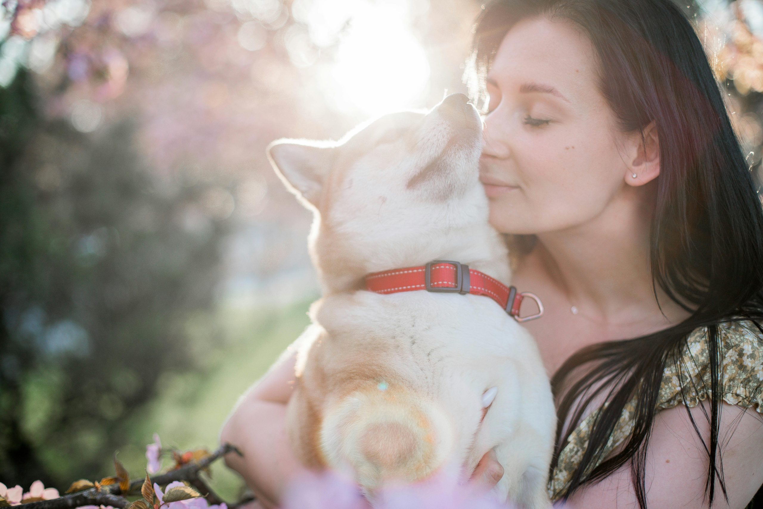 Do Dogs Lick Lips When Happy